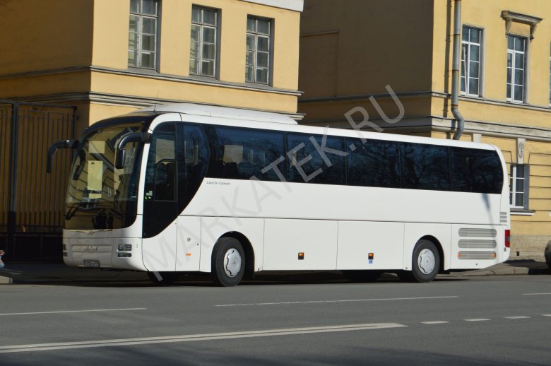 Man lion’s coach 50 мест
