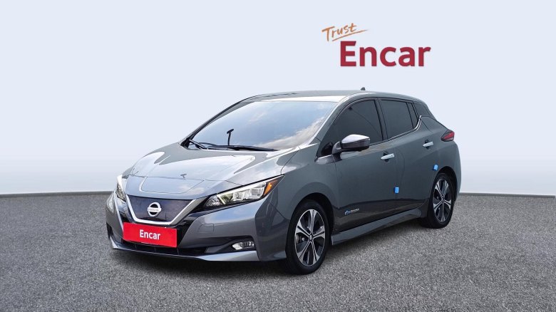 Nissan leaf 2019
