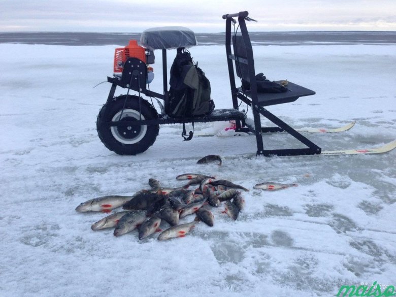 Мотосани термит