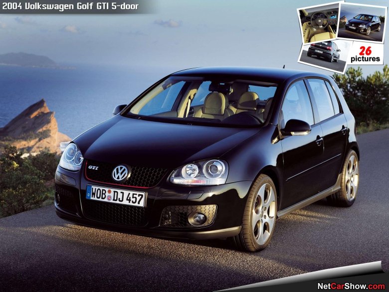 Volkswagen golf gti 2004