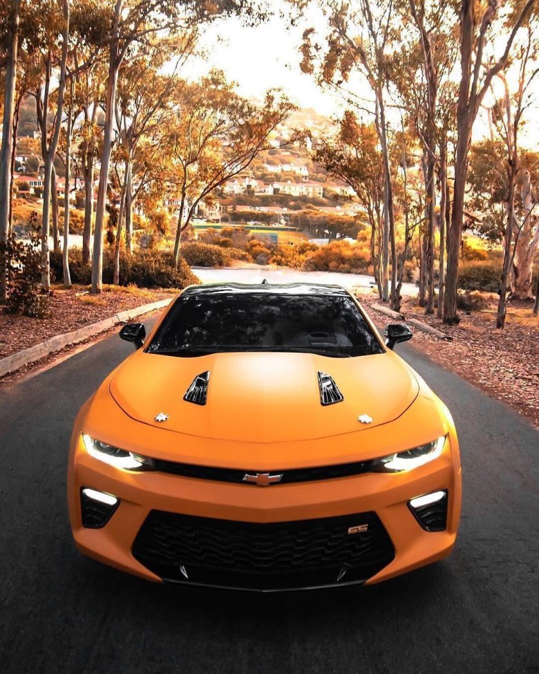 Chevrolet camaro zl 1