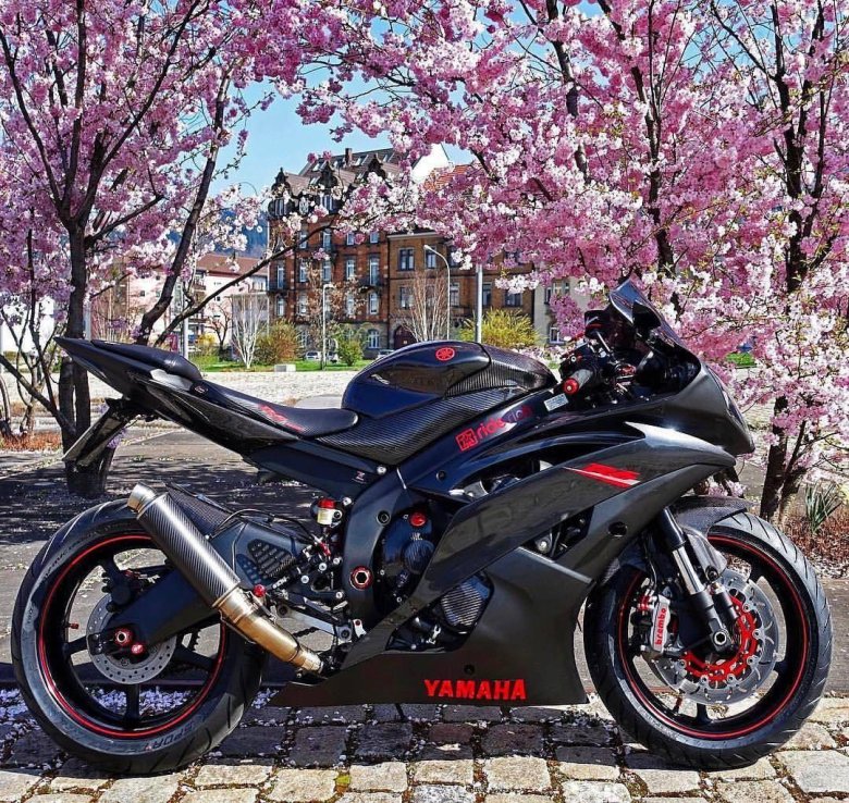 Мотоцикл сакура