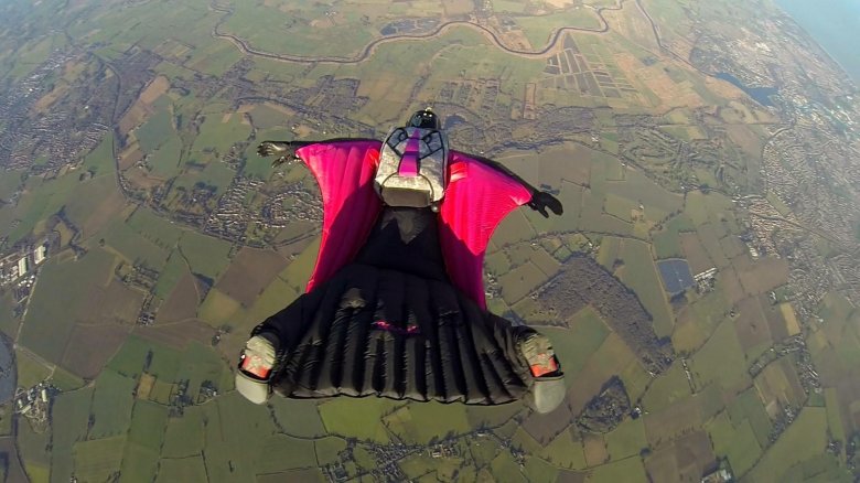 Вингсьют red bull