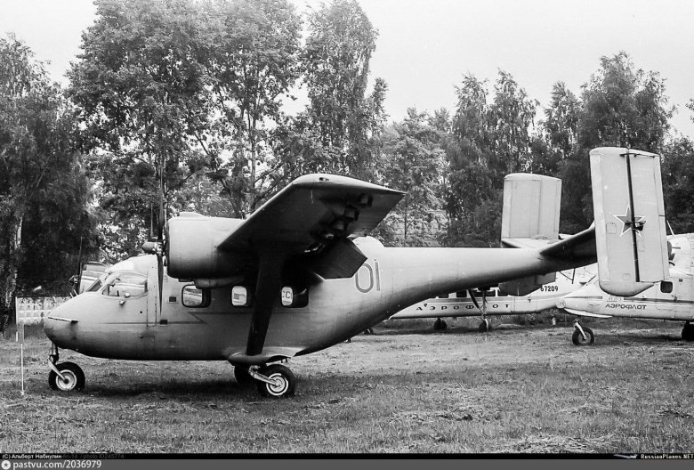 Ан-14 пчёлка