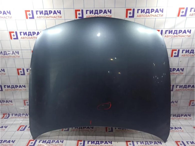 Капот автомобиля