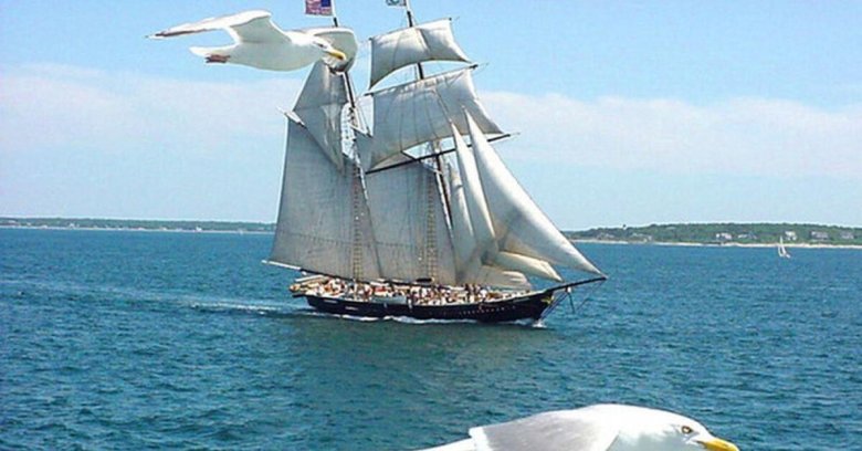 Балтиморская клипер-шхуна