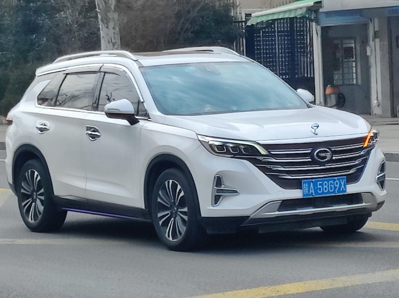 Gac trumpchi