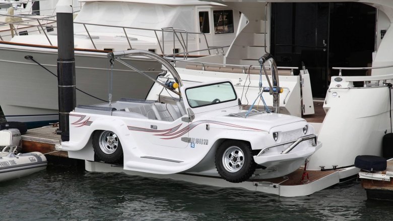 Амфибия gibbs aquada