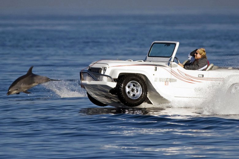 Амфибия gibbs aquada