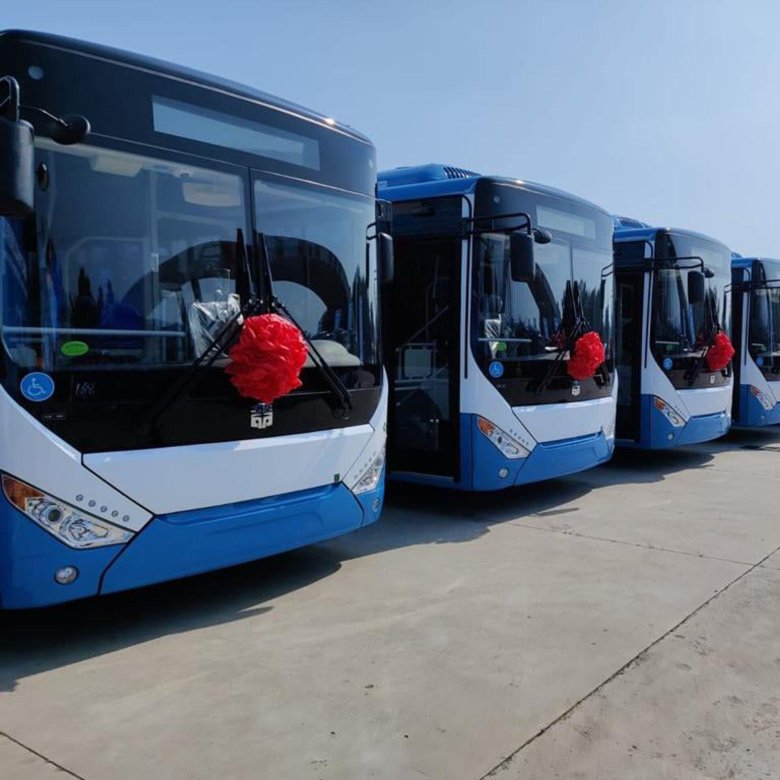 Новые автобусы