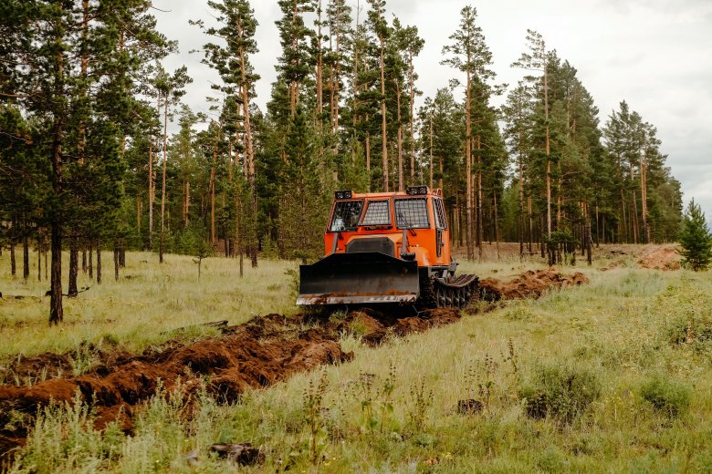Лесное хозяйство