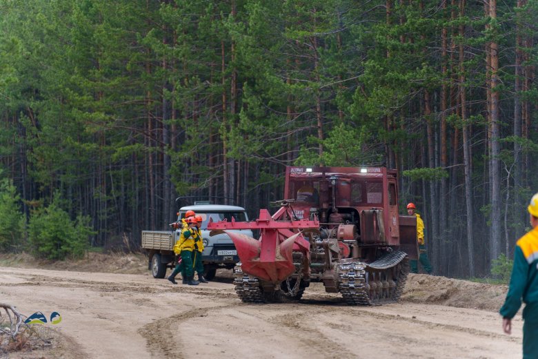 Трелёвочный трактор тт 4