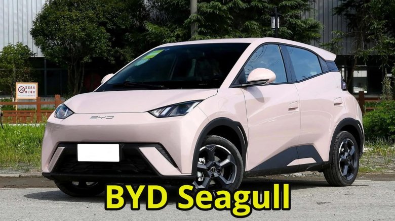Byd seagull 2025