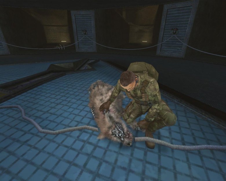 Вивисектор пантера