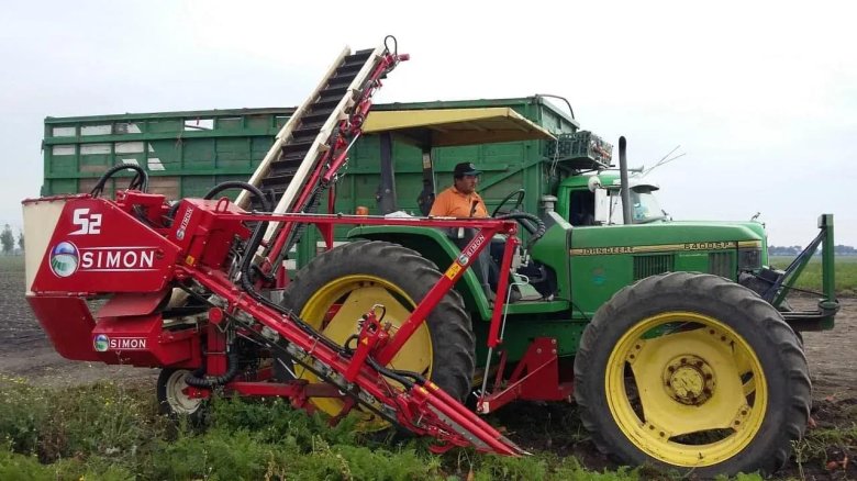 Картофелеуборочный комбайн dewulf