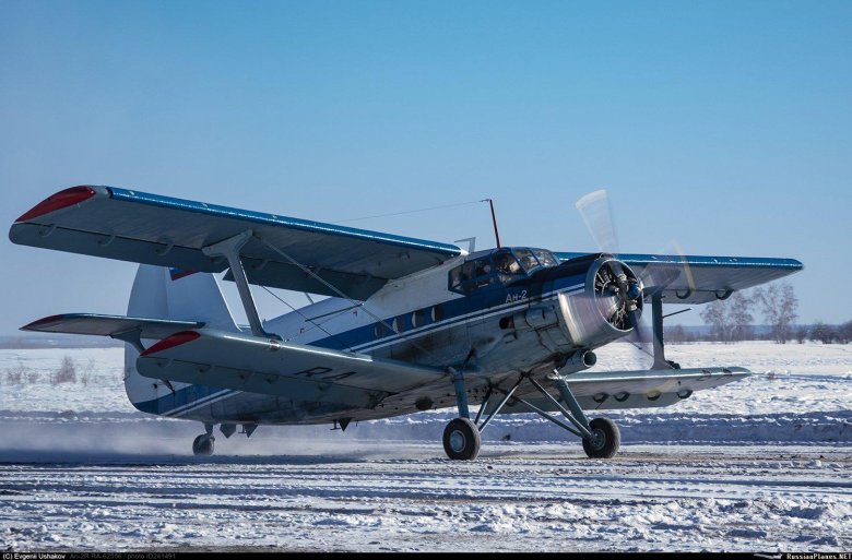 Кукурузник ан-2 пассажирский