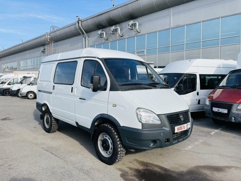 Соболь 21 года