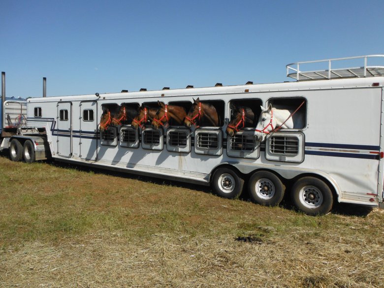 Скотовоз полуприцеп для крс