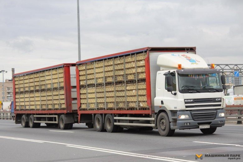 Фура птицевоз