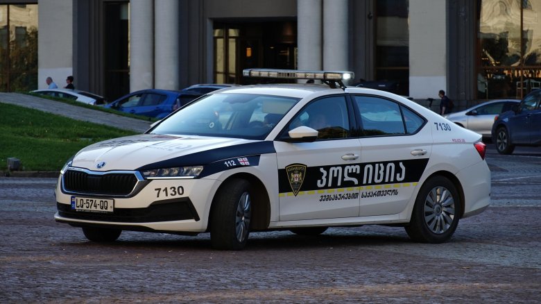 Патрульная полиция грузии