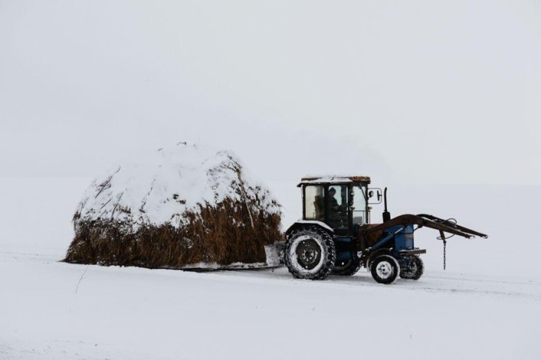Трактор мтз 80 в снегу
