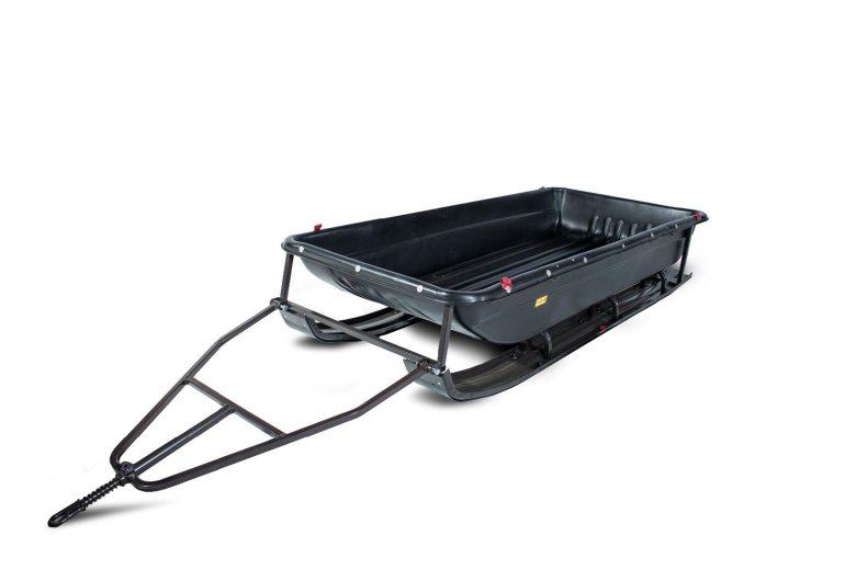 Сани ппм 1900