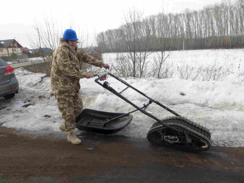Мотособака муравей