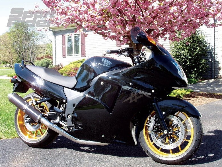 Honda cbr 1100 blackbird