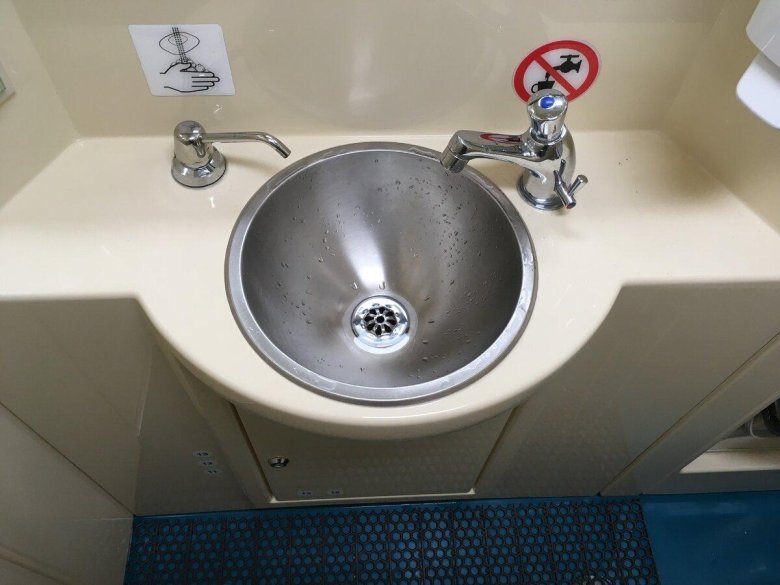 Северная пальмира поезд туалет