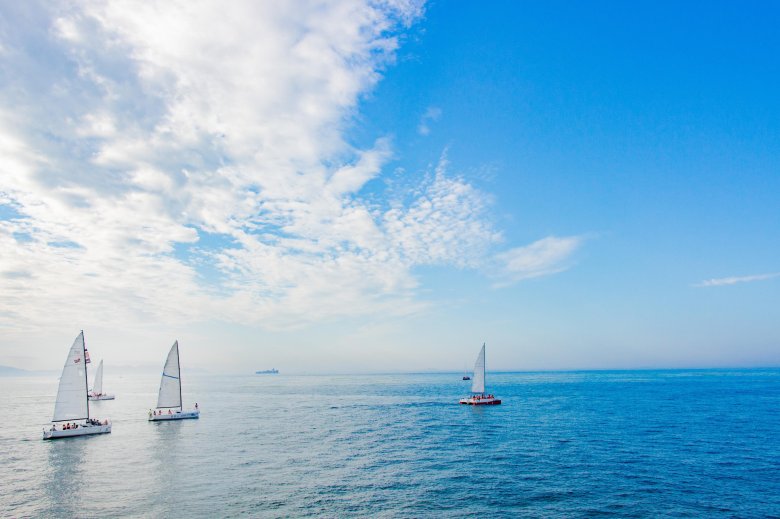 Парусная регата сочи