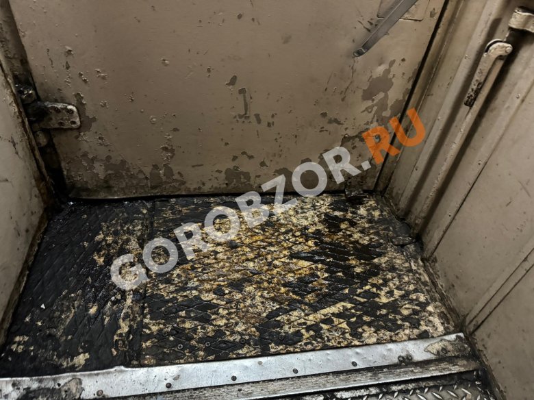 Вагоны поезда