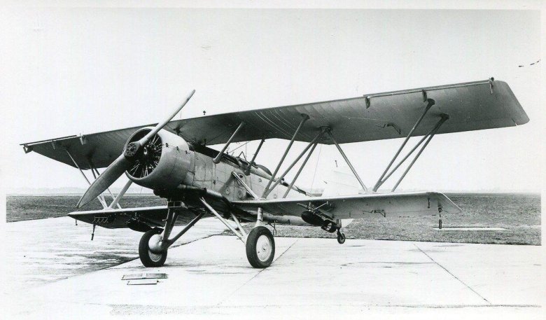 Блэкберн шарк