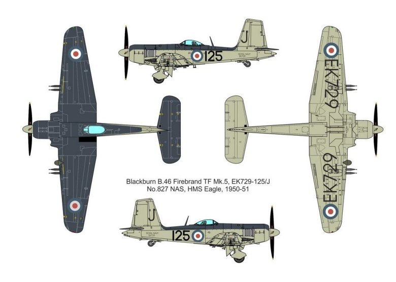 Blackburn firebrand tf mk.5