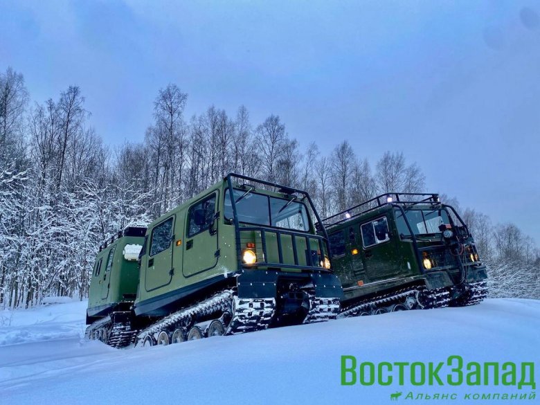 Гусеничный снегоболотоход газ 34039