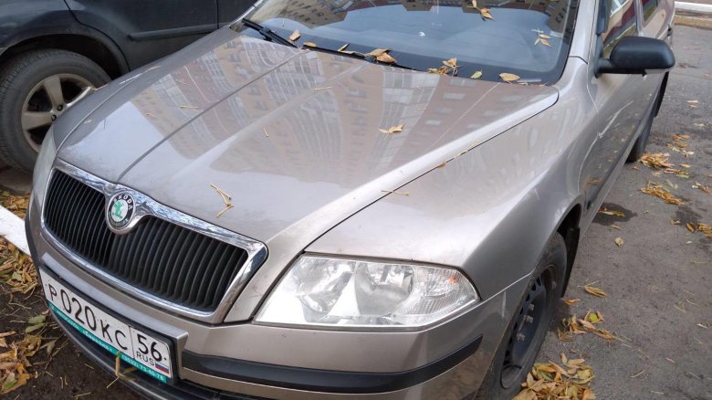 Skoda octavia 2004-2013