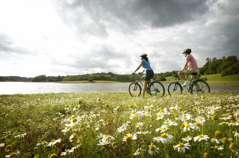 Велосипед в поле