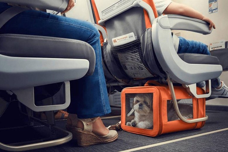 Переноски для животных в самолете