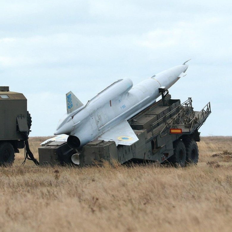 Беспилотник ту 141 стриж