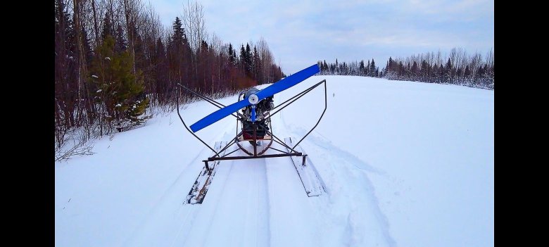 Аэросани пижма