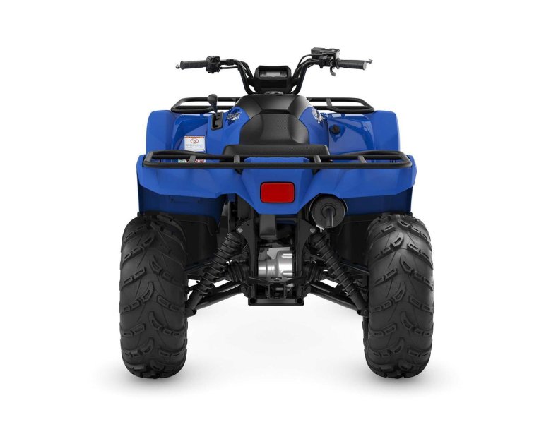 Yamaha grizzly