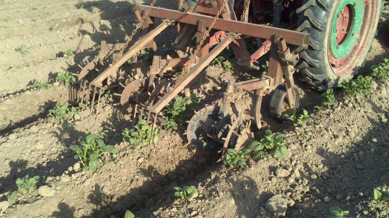 Ежи для прополки картофеля т-25