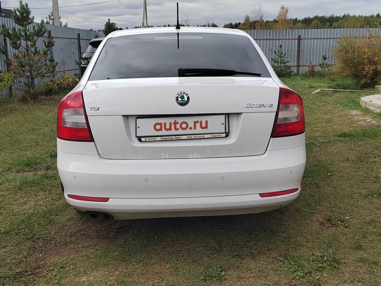 Белый шкода октавия