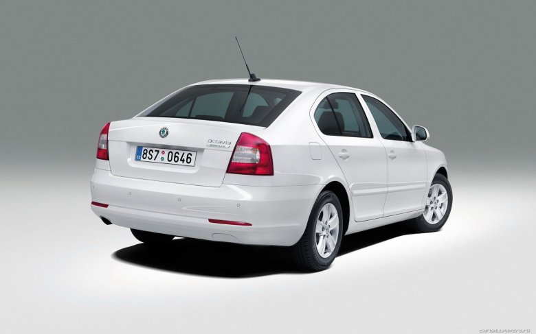 Skoda Octavia a5 сзади