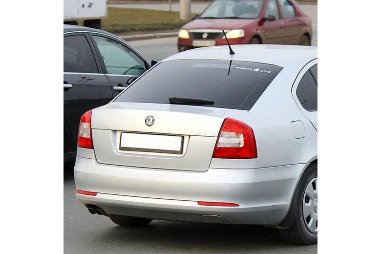 Octavia a5 сзади