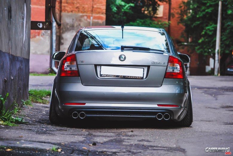 Skoda Octavia a5 стенс
