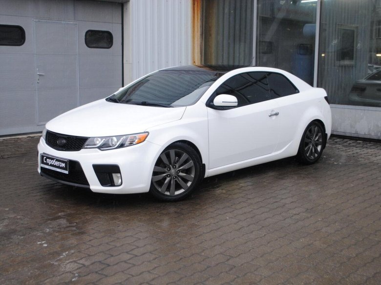 Белая Церато 2