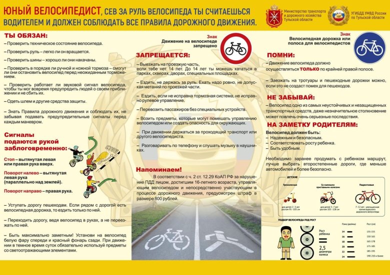 Безопасность дорожного движения