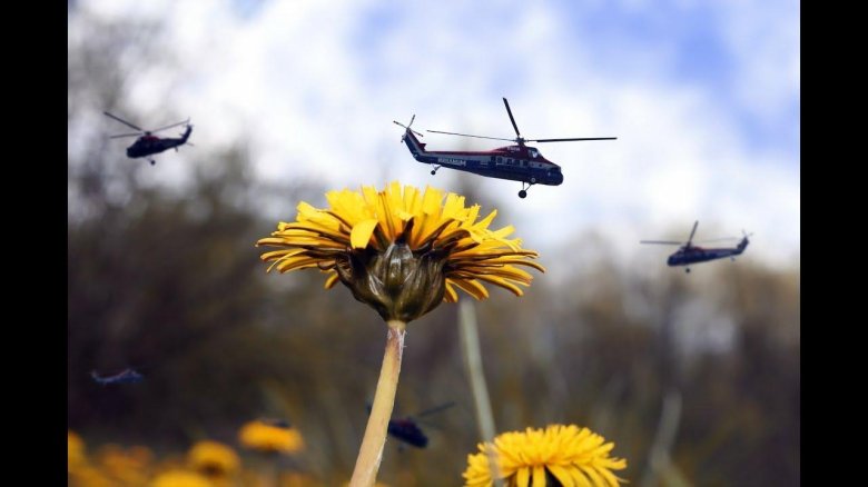 Вертолет с цветами