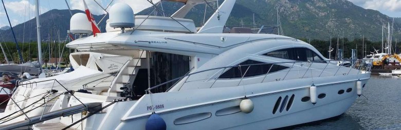 Катамаран моторный