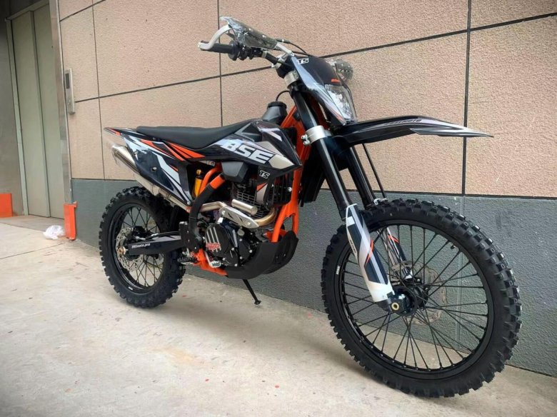 BSE t8 Red Bear (015)